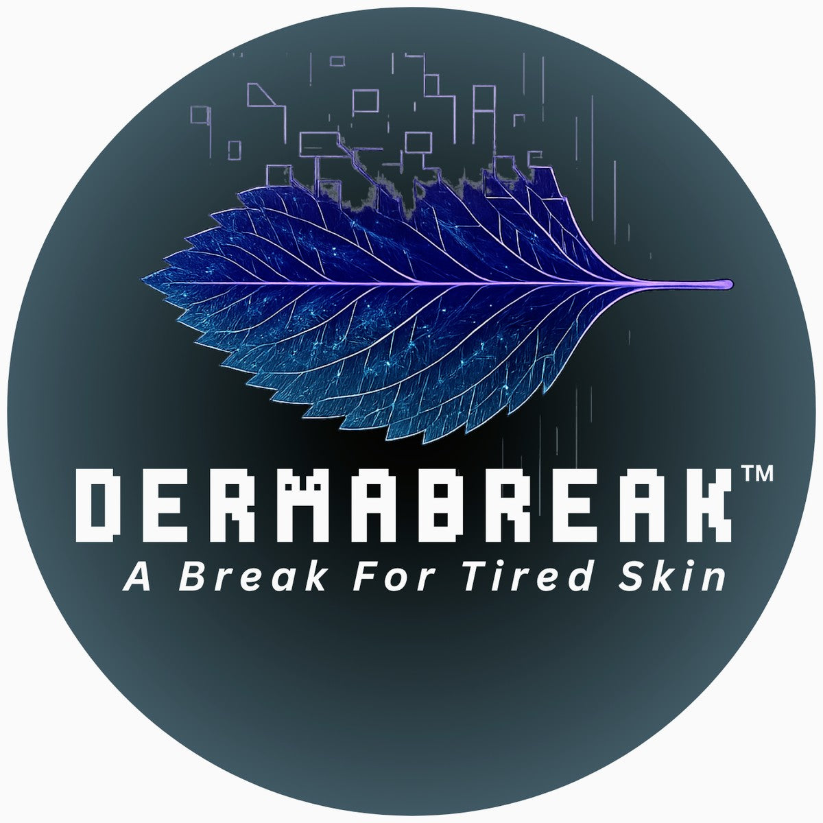 The Science of DermaBreak: A cosmetic, skin-barrier and antioxidant approach to visible renewal