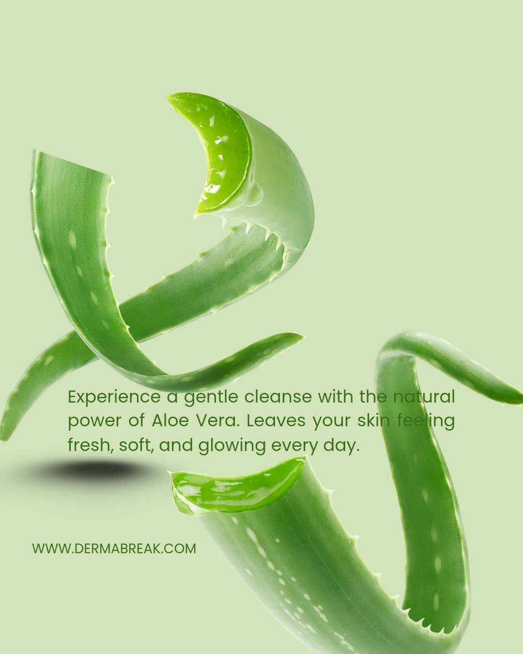 The Soothing Power of Aloe: A Post-Nicotine Essential for Skin and Scalp